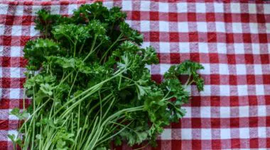 garnishing-instructions-image